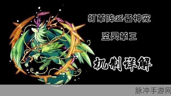 圣灵草王技能搭配全攻略，助你称霸洛克王国！
