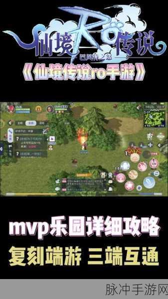 仙境传说RO拳圣之路，高手进阶全攻略