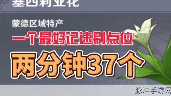 原神探索指南，塞西莉亚花采集全攻略