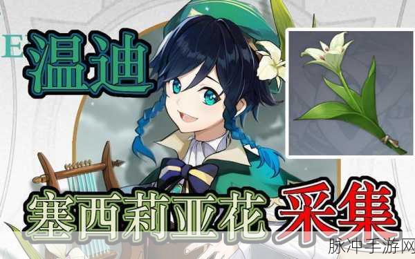 原神探索指南,塞西莉亚花采集全攻略