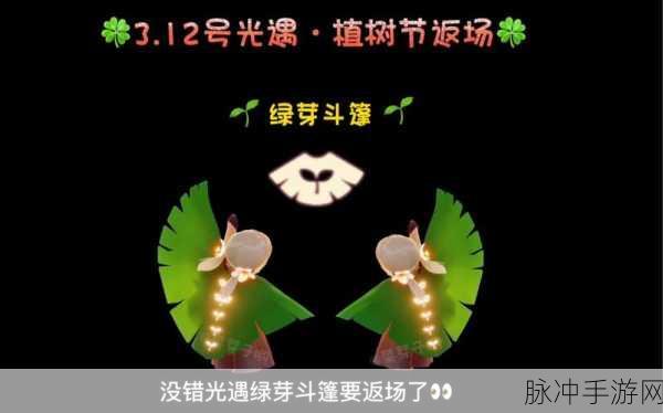 绿芽斗篷风靡归来，光遇盛夏共赴奇妙之旅