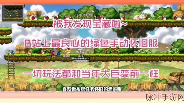 探险者的梦幻之旅，冒险岛主题副本与宝藏奖励全揭秘