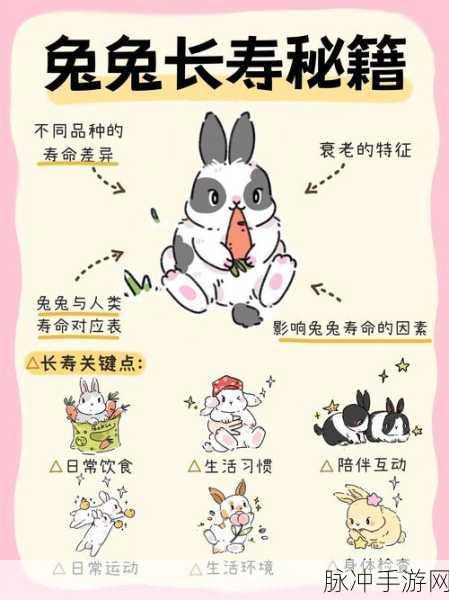 口袋妖怪复刻，卷耳兔全面解析，萌宠也有大作用