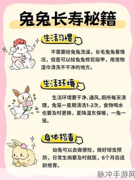 口袋妖怪复刻,卷耳兔全面解析,萌宠也有大作用