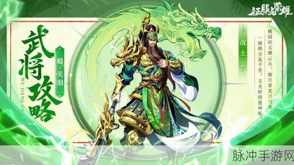 大王不好啦关羽，半肉战士的荣耀与实力