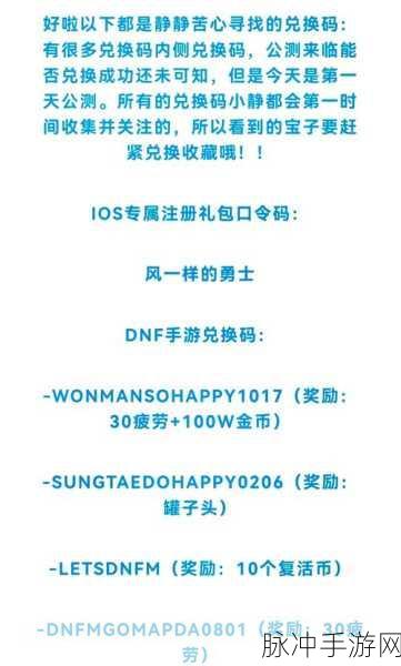 DNF游戏频遭第三方侵扰，玩家自救指南大揭秘
