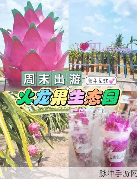 小森生活，火龙果奇遇之旅，海岛探秘共迎蛇年新春