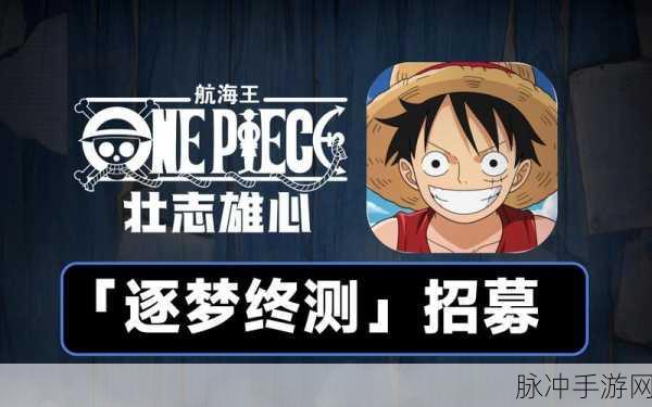 航海王壮志雄心公测时间全揭秘，航海迷的狂欢即将启航！
