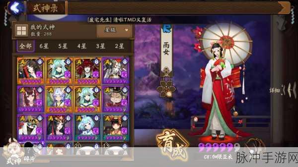 阴阳师雨女副本5层速通秘籍，热门阵容搭配与高效攻略