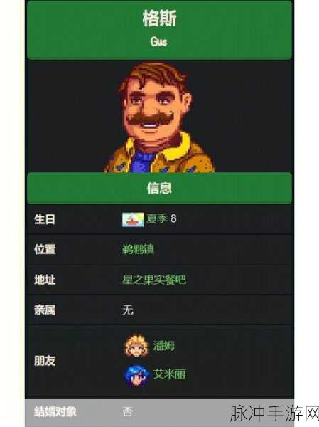 星露谷物语酒吧，解锁你的休闲时光