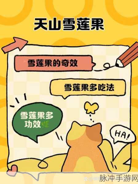 洛克王国天山雪莲获取全攻略，解锁神秘雪莲的获取秘籍