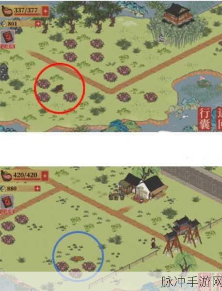 江南百景图深度探索，揭秘高效驱逐画皮鬼的绝妙技巧