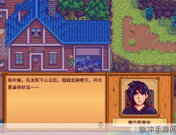 星露谷物语，揭秘孤独青年塞巴斯蒂安的神秘行程