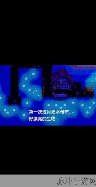 星露谷物语,揭秘孤独青年塞巴斯蒂安的神秘行程