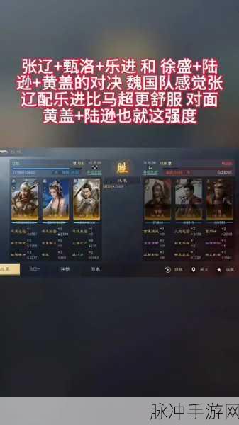 三国志陆逊陆抗父子搭配攻略，谁才是最佳拍档？
