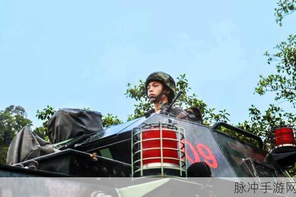 大炮出击，点燃射击战斗闯关的激情之旅