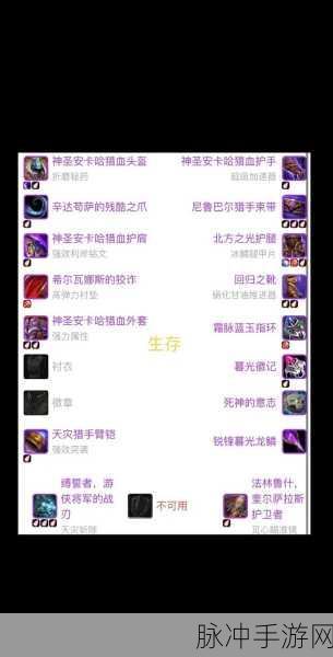 魔兽世界WLK武器战雕文，深度剖析与实战应用