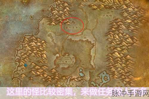 元气骑士,揭秘蓝藻花最佳刷取地图