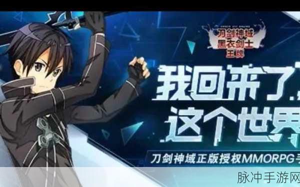 刀剑神域黑衣剑士，装备强化与精炼全攻略