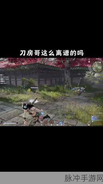 永劫无间练刀房深度揭秘,玩家如何在此精进战斗技艺?