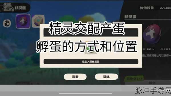 洛克王国孵蛋全攻略，如何孵化你的专属宠物蛋
