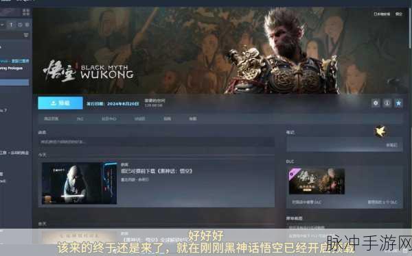 黑神话悟空Steam版能否实现家庭共享？