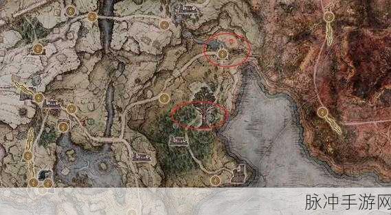 艾尔登法环升级秘籍，解锁潜能，征服交界地