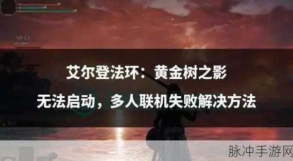 艾尔登法环升级秘籍，解锁潜能，征服交界地