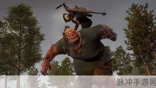 腐烂国度2领袖任务全揭秘，挑战与荣耀并存