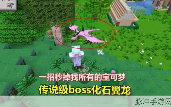 我的世界宝可梦化石翼龙刷新点全揭秘