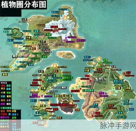 探寻创造与魔法中的路行鸟踪迹