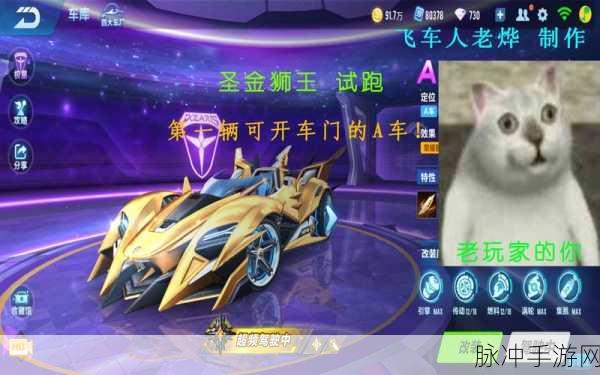 QQ飞车手游圣金狮王获取全攻略