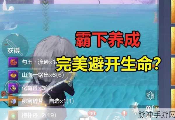 妄想山海传送秘籍，轻松穿梭游戏世界的每一个角落