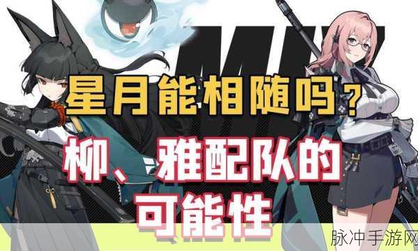 绝区零月城柳，阵容搭配深度解析与实战策略