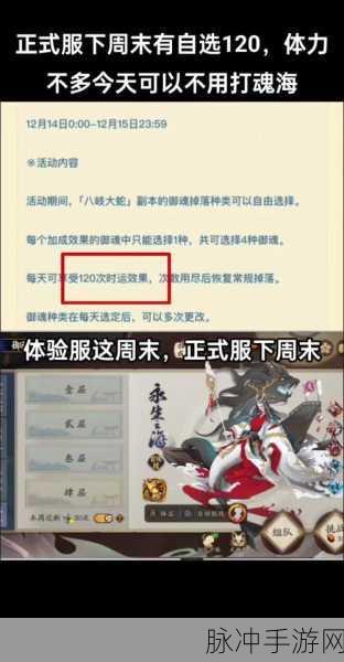 阴阳师替魂机制详解，友方守护新策略