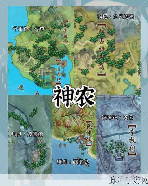 剑网三瞿塘峡采仙草任务全攻略，解锁奇妙探险的秘籍