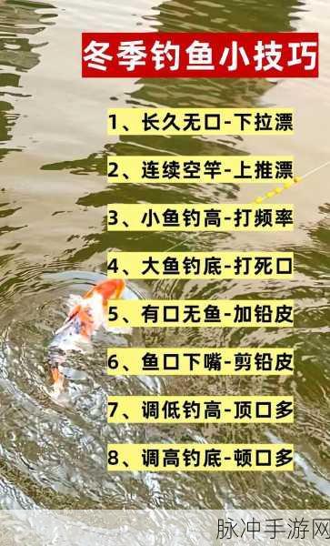 冰原守卫者钓鱼玩法，深度解析与实战攻略