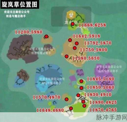 创造与魔法白色小花探秘，密集分布地点与生态之旅