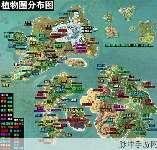 创造与魔法白色小花探秘,密集分布地点与生态之旅