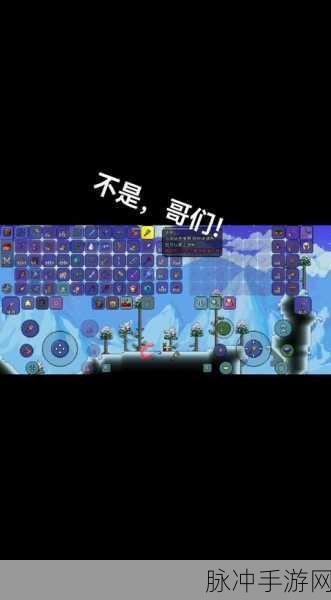 泰拉瑞亚手机版，揭秘环境改造枪打造雪原的秘密溶液