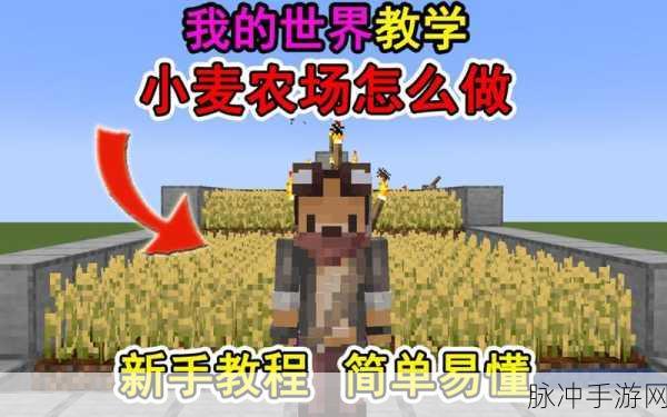 我的世界小麦获取全攻略，解锁农耕乐趣的钥匙