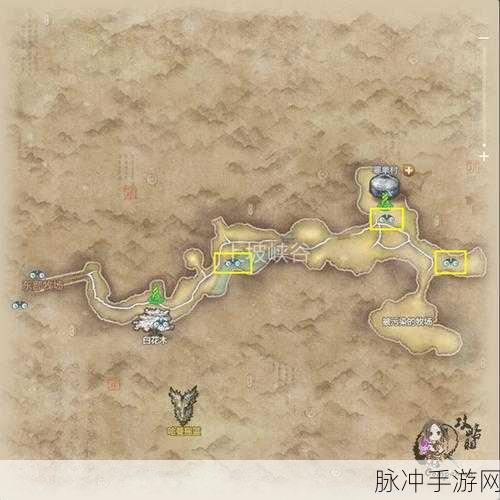 剑灵热带雨林探险旺季，勇者征途，挑战与奇遇并存