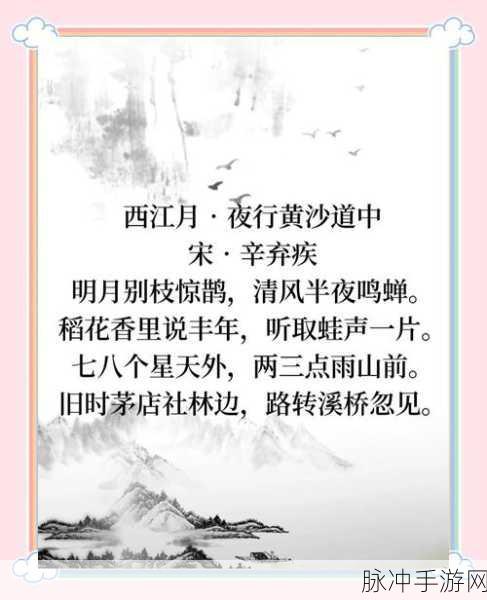 烟雨江湖新篇章,西子湖畔折柳情,诗意江湖的浪漫轨迹