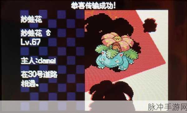 口袋妖怪心金，深度解析蛋蛋的培养价值
