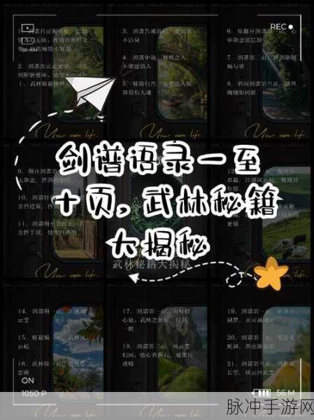 大掌门22025攻略秘籍全揭秘，助你称霸武林！