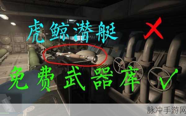 GTA5虎鲸召唤秘籍大揭秘，驰骋海洋，快速上手攻略