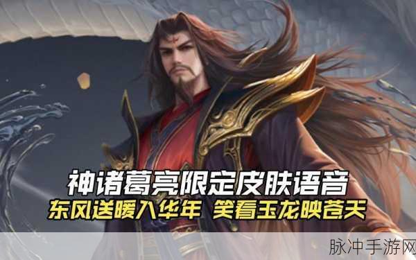 诸葛亮皮肤盛宴,哪款能成为你战场上的智谋华章?