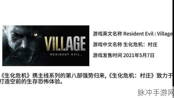 生化危机8,豪华版VS普通版,豪华之处何在?