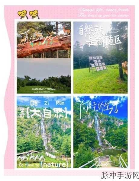 探索无限可能,与非常普通的鹿共赴开放世界冒险之旅