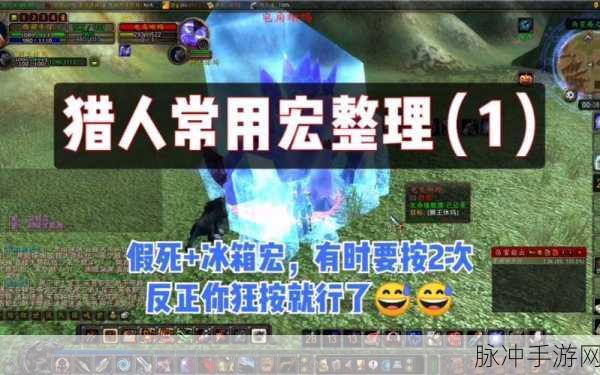 魔兽世界怀旧服猎人，常用宏整理大揭秘